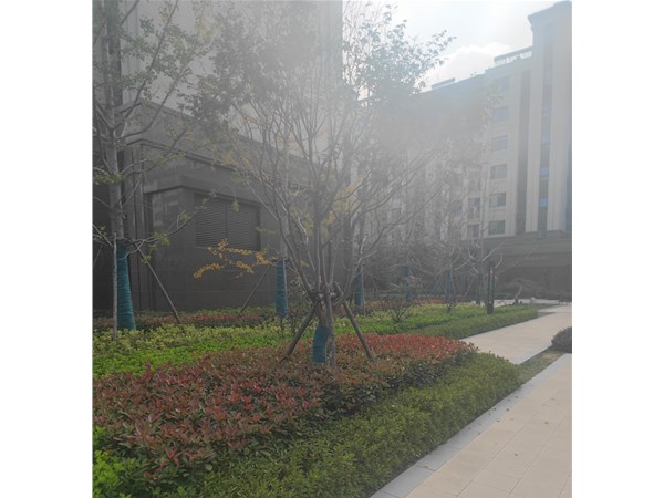 西荷花塘剩余地塊和2018-4-1號(hào)地塊房地產(chǎn)開(kāi)發(fā)項(xiàng)目